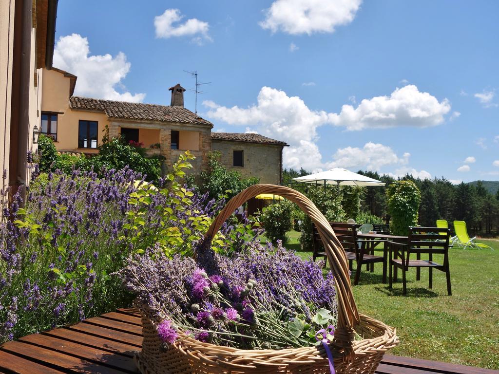 Agriturismo Monterosello Citta di Castello Exterior photo